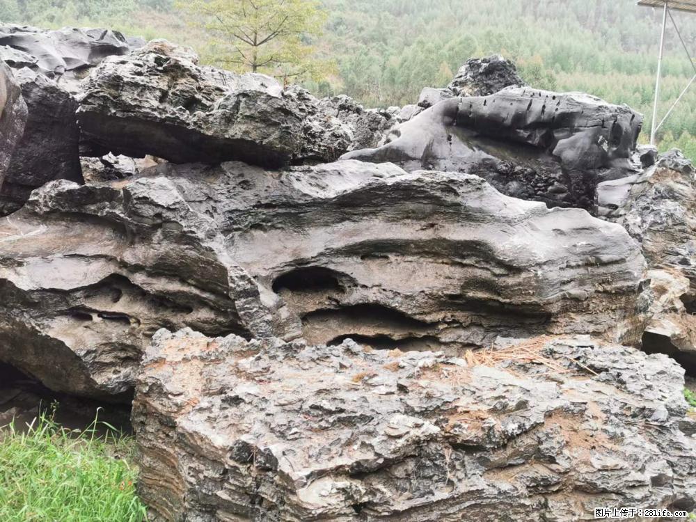 风景石、假山石大量有货，有需要的欢迎联系 - 新手上路 - 昌吉生活社区 - 昌吉28生活网 changji.28life.net