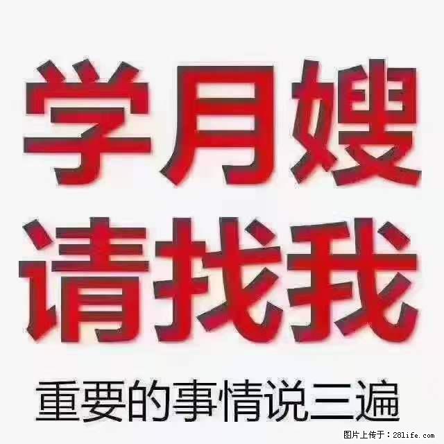 为什么要学习月嫂，育婴师？ - 其他广告 - 广告专区 - 昌吉分类信息 - 昌吉28生活网 changji.28life.net