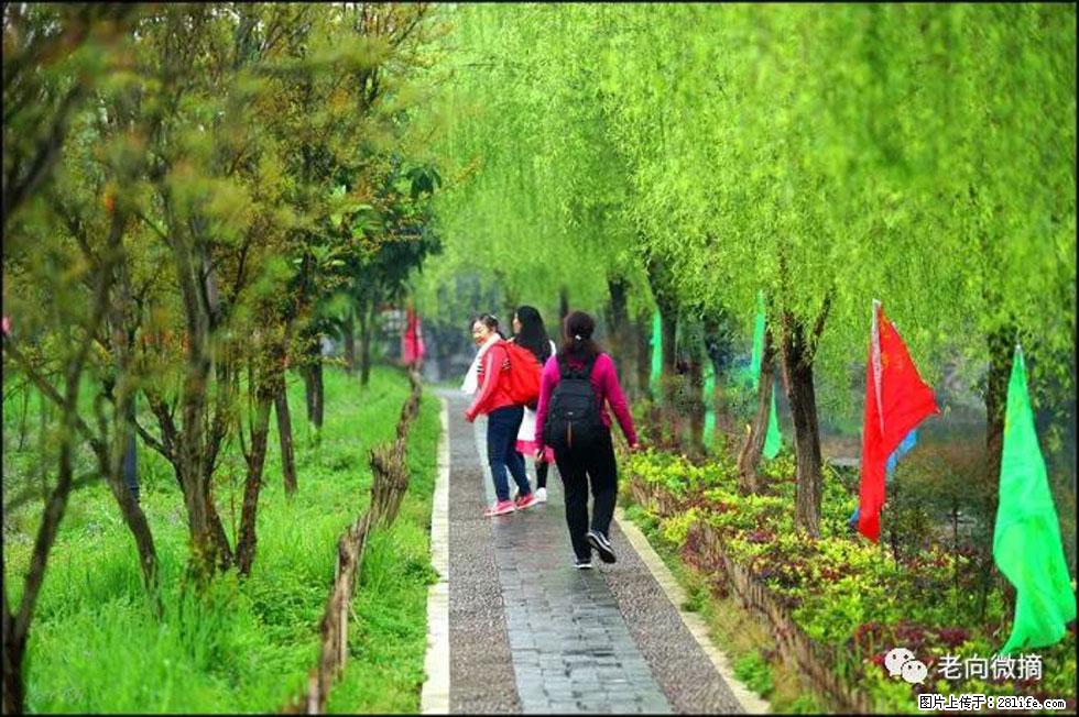 【春天，广西桂林灌阳县向您发出邀请！】江口老街又逢春 - 游山玩水 - 昌吉生活社区 - 昌吉28生活网 changji.28life.net