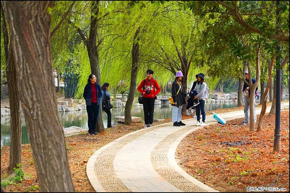 【春天，广西桂林灌阳县向您发出邀请！】江口老街又逢春 - 游山玩水 - 昌吉生活社区 - 昌吉28生活网 changji.28life.net