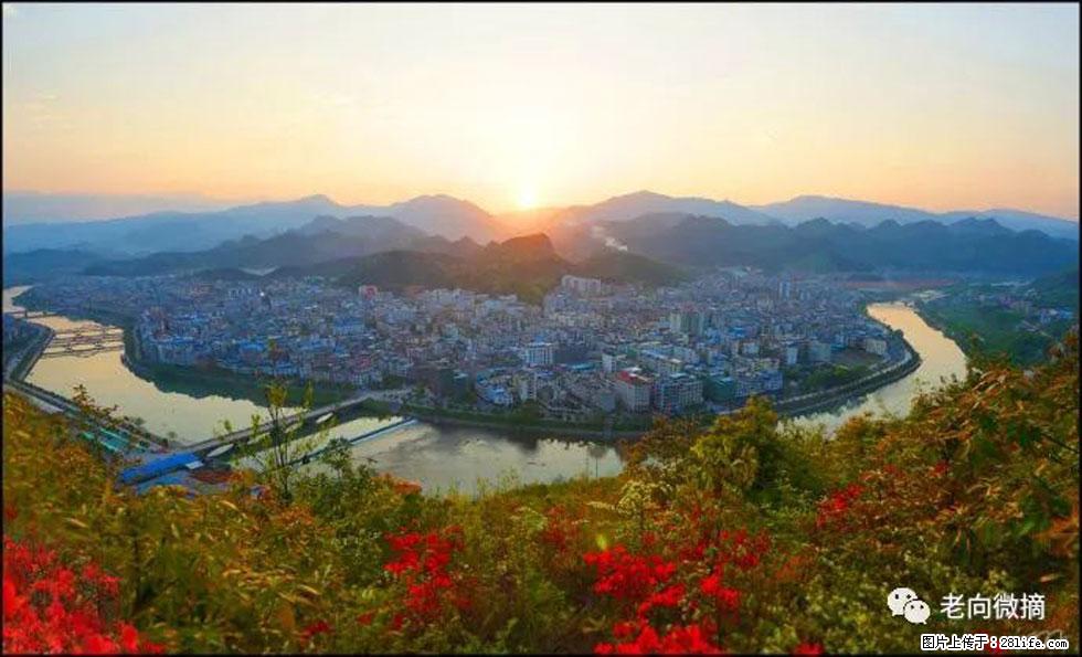 【春天，广西桂林灌阳县向您发出邀请！】登麒麟山，相约映山红 - 游山玩水 - 昌吉生活社区 - 昌吉28生活网 changji.28life.net