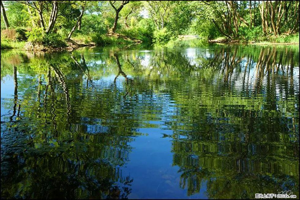 【春天，广西桂林灌阳县向您发出邀请！】熊家寨湿地公园 - 游山玩水 - 昌吉生活社区 - 昌吉28生活网 changji.28life.net