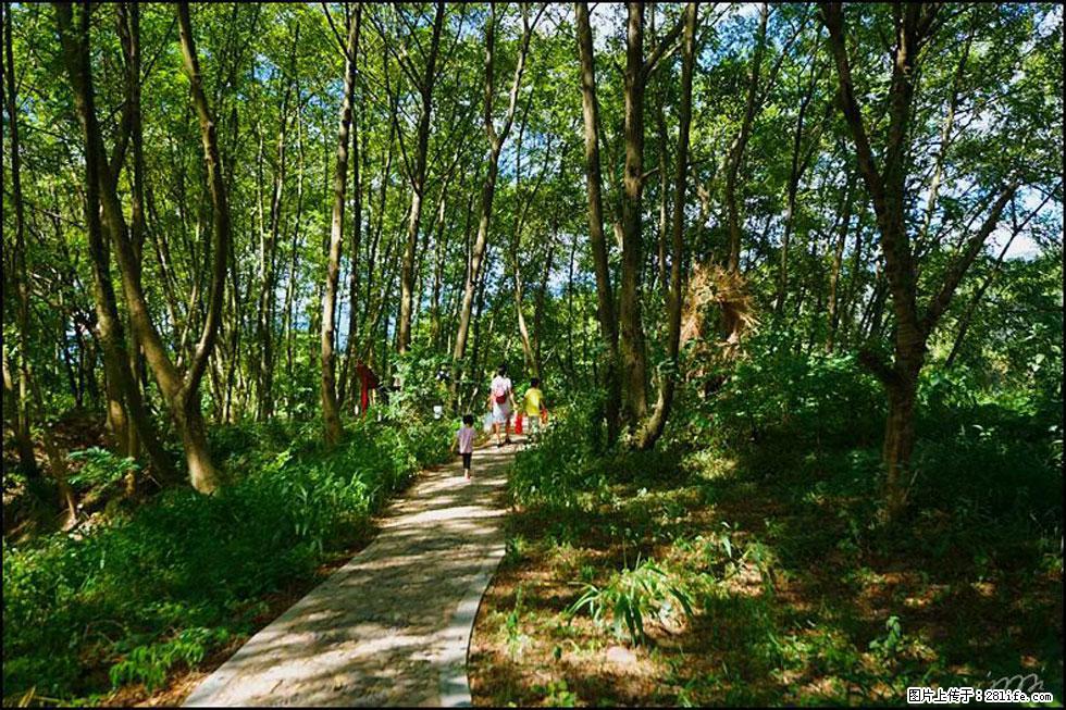 【春天，广西桂林灌阳县向您发出邀请！】熊家寨湿地公园 - 游山玩水 - 昌吉生活社区 - 昌吉28生活网 changji.28life.net