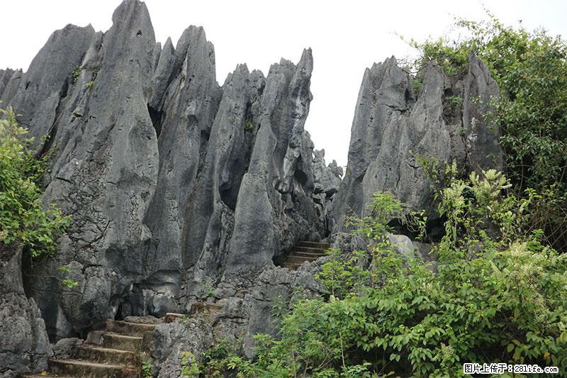 桂林旅游名城景点：灌阳文市石林 - 游山玩水 - 昌吉生活社区 - 昌吉28生活网 changji.28life.net