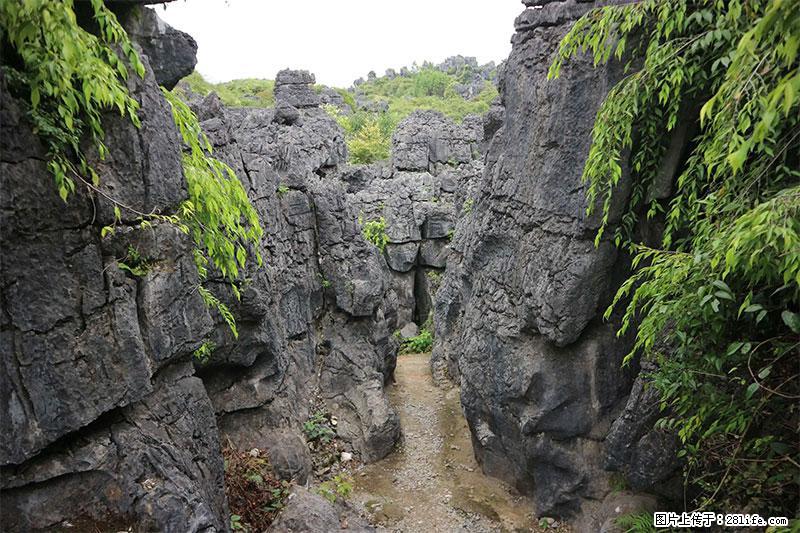 桂林旅游名城景点：灌阳文市石林 - 游山玩水 - 昌吉生活社区 - 昌吉28生活网 changji.28life.net
