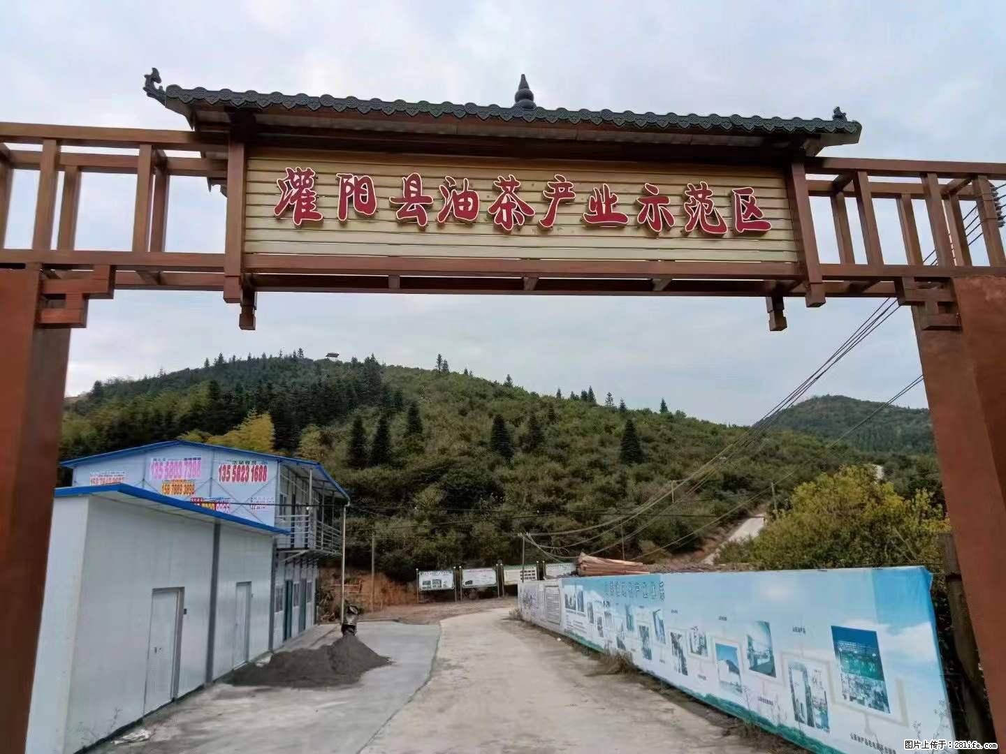 【灌阳县油茶产业示范区】一个有着充实的精神生活的人，对待身外之物自会有一种淡泊的态度 - 美食天地 - 昌吉生活社区 - 昌吉28生活网 changji.28life.net