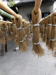 【灌阳正宗红薯粉】美女家里自己做的，干净卫生，假一赔十，价格合理，抢购电话：13737312895 - 昌吉28生活网 changji.28life.net