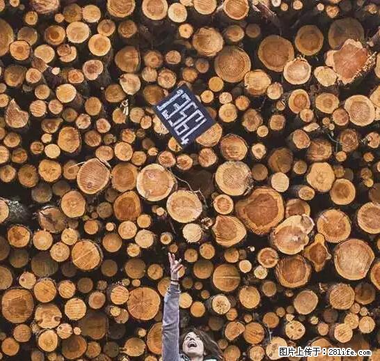 辞掉工作周游世界？现在他们在洗厕所…… - 游山玩水 - 昌吉生活社区 - 昌吉28生活网 changji.28life.net