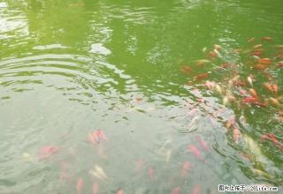 家具齐全，拎包入住，交通便利 - 昌吉28生活网 changji.28life.net