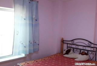 石油大厦附近麒麟华府82平米复式家具家电齐全 - 昌吉28生活网 changji.28life.net