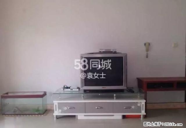 宏鑫家园，单身公寓，基本家具家电。 - 房屋出租 - 房屋租售 - 昌吉分类信息 - 昌吉28生活网 changji.28life.net