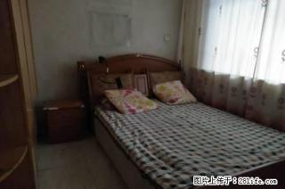 市四中旁 建委家属院 多层三楼 三室两厅 拎包入住 - 昌吉28生活网 changji.28life.net