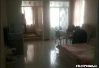 君悦海棠小高层 1室1厅1卫 - 昌吉28生活网 changji.28life.net
