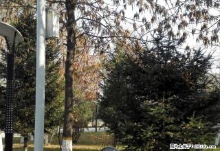 热电家属院多层三楼96平米三室两厅拎包入住750元急租 - 昌吉28生活网 changji.28life.net