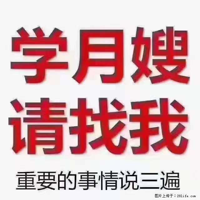 【招聘】月嫂，上海徐汇区 - 职场交流 - 昌吉生活社区 - 昌吉28生活网 changji.28life.net