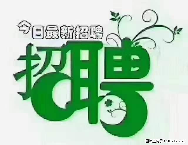 上海青浦区招仓管 - 职场交流 - 昌吉生活社区 - 昌吉28生活网 changji.28life.net