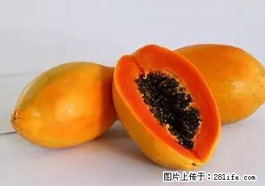 晕车、脚气、牙齿变黄、皮肤粗糙？学会这些三分钟搞定！ - 昌吉生活资讯 - 昌吉28生活网 changji.28life.net