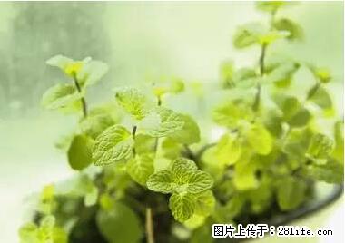 晕车、脚气、牙齿变黄、皮肤粗糙？学会这些三分钟搞定！ - 昌吉生活资讯 - 昌吉28生活网 changji.28life.net