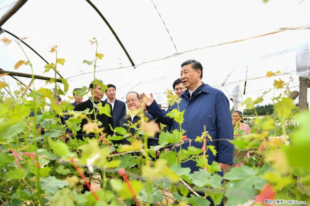 习近平赴广西考察调研 - 昌吉生活资讯 - 昌吉28生活网 changji.28life.net
