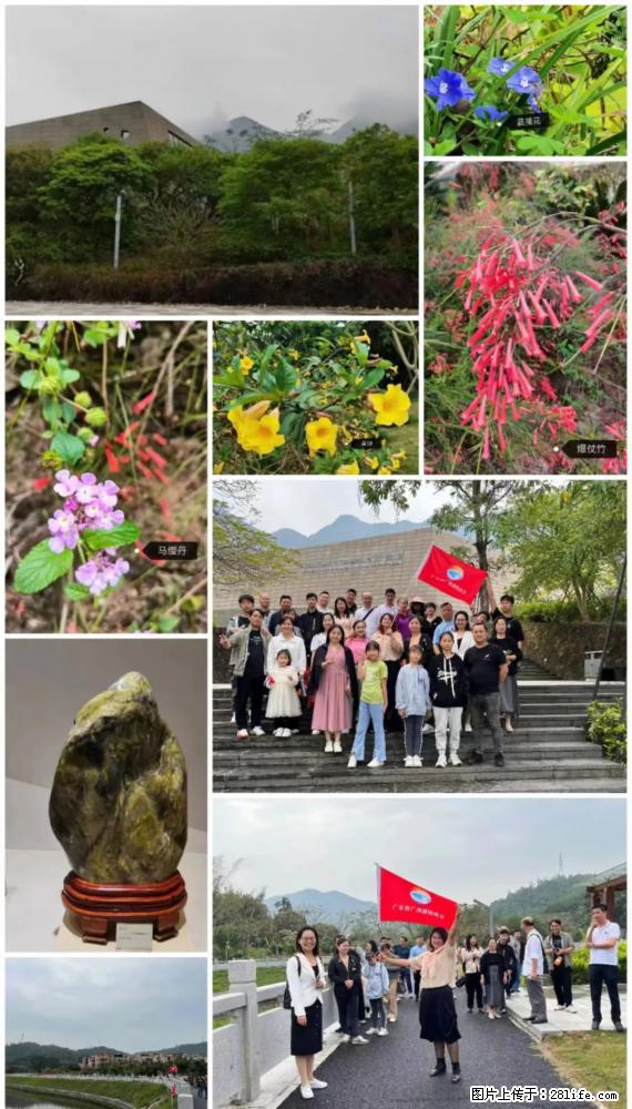 “粤灌文化 美好生活”油茶文化主题活动在广东深圳成功举办 - 昌吉生活资讯 - 昌吉28生活网 changji.28life.net