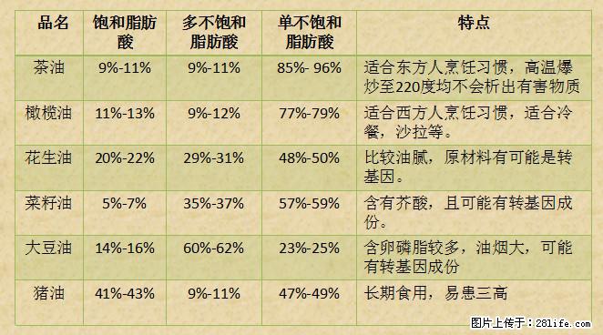 揭秘茶油的5大核心营养成分！被称为人体健康的“守护盾”！ - 昌吉生活资讯 - 昌吉28生活网 changji.28life.net