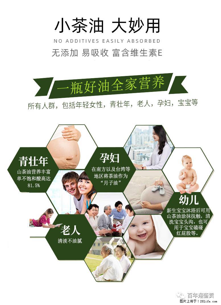 世界没有真相，只有认知，最好的食用油是中国的山茶油！ - 昌吉生活资讯 - 昌吉28生活网 changji.28life.net