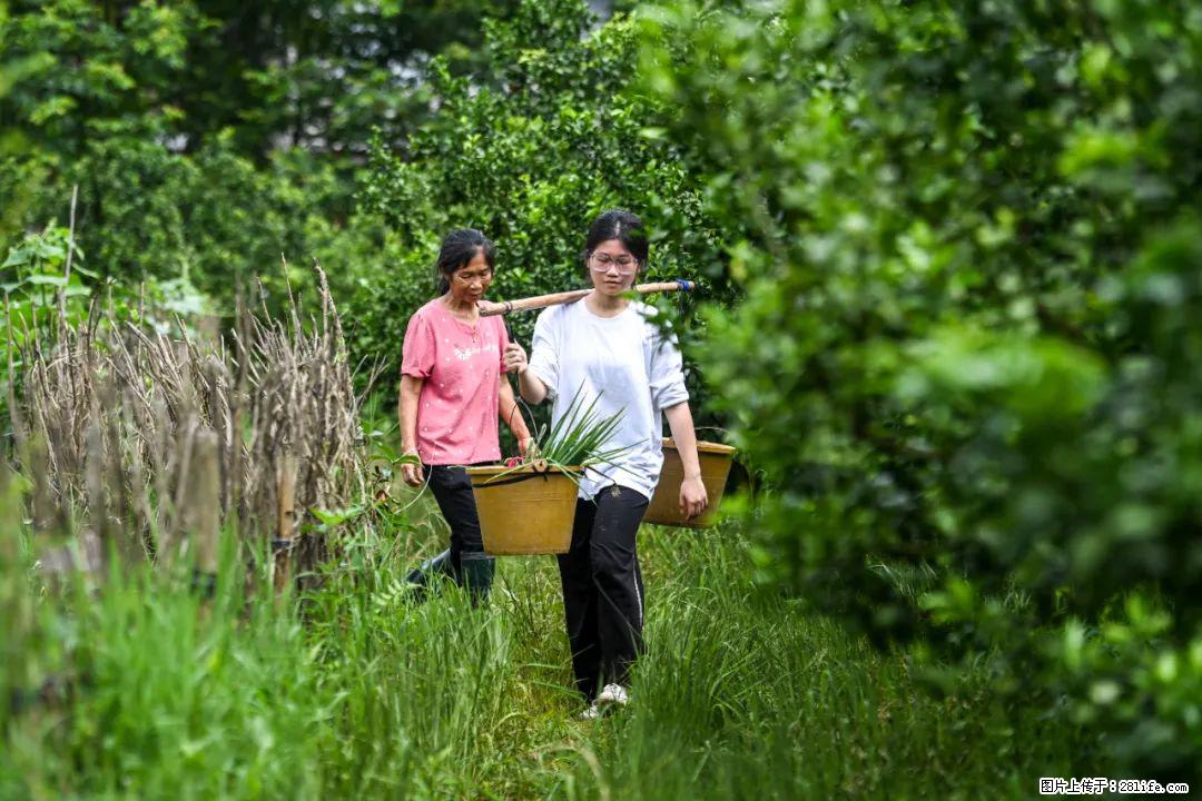 全网追的“扁担女孩”，找了一份暑假工，时薪12元 - 昌吉生活资讯 - 昌吉28生活网 changji.28life.net
