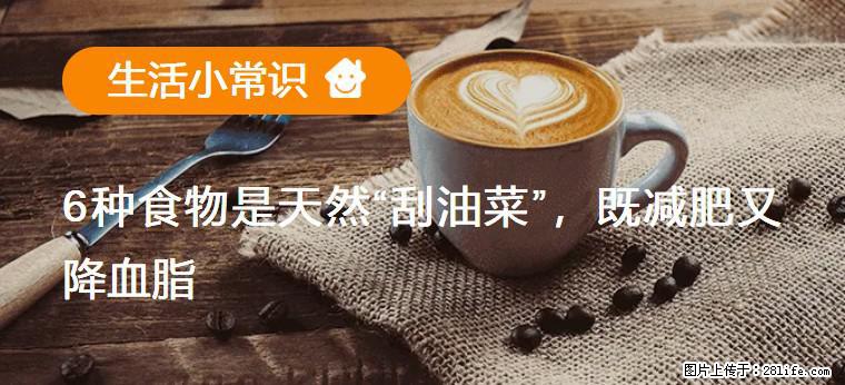 【生活小常识】6种食物是天然“刮油菜”，既减肥又降血脂 - 昌吉生活资讯 - 昌吉28生活网 changji.28life.net
