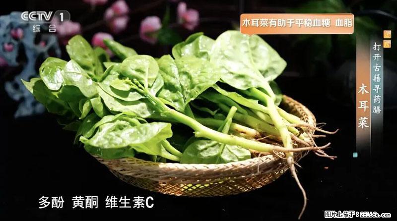 比牛奶补钙还厉害！凉血解毒、稳血糖...这菜冬天必吃，很多人却当草 - 昌吉生活资讯 - 昌吉28生活网 changji.28life.net