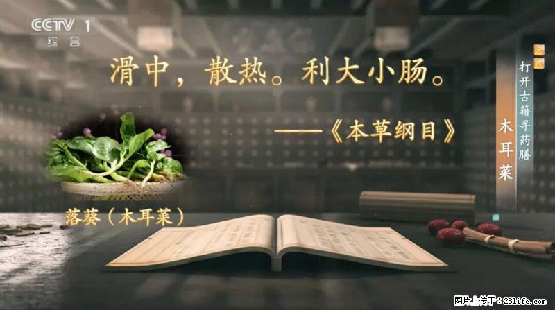 比牛奶补钙还厉害！凉血解毒、稳血糖...这菜冬天必吃，很多人却当草 - 昌吉生活资讯 - 昌吉28生活网 changji.28life.net